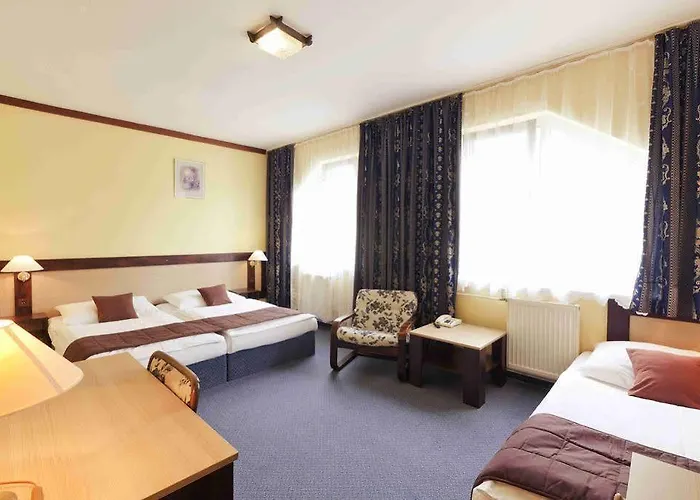 Adler Hotel 3*